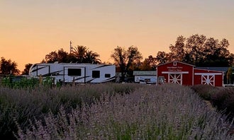 Camping near Woodson Bridge State Recreation Area: MoonBeam Farm, Corning, California