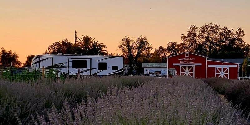 Camper submitted image from MoonBeam Farm