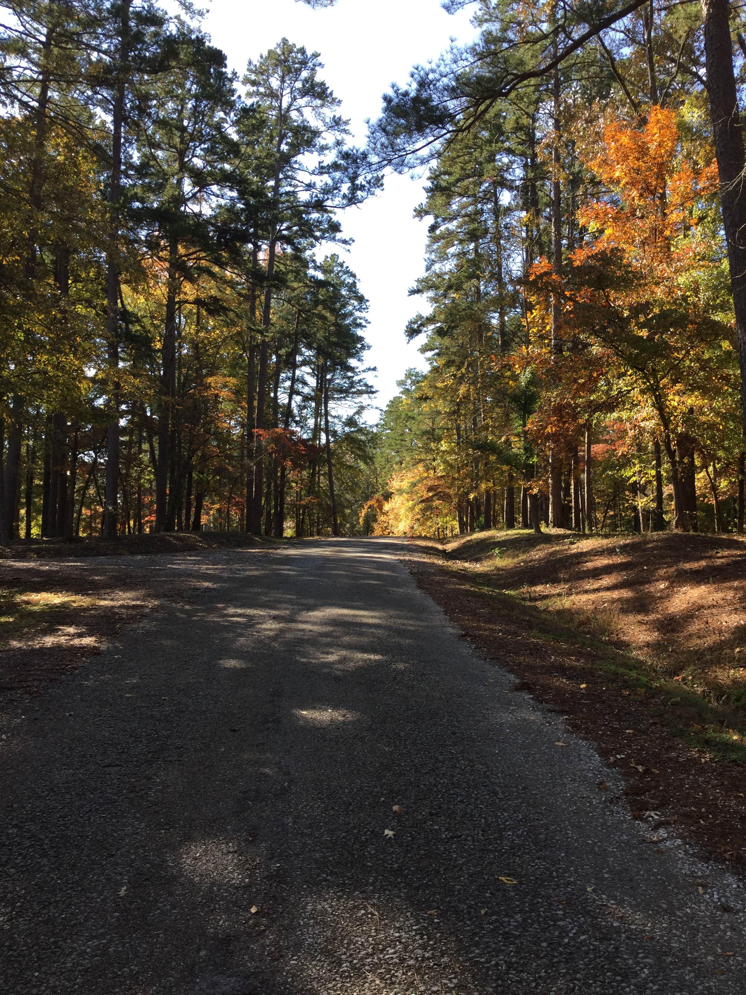 Camper submitted image from Chewalla Lake Recreation Area - 3