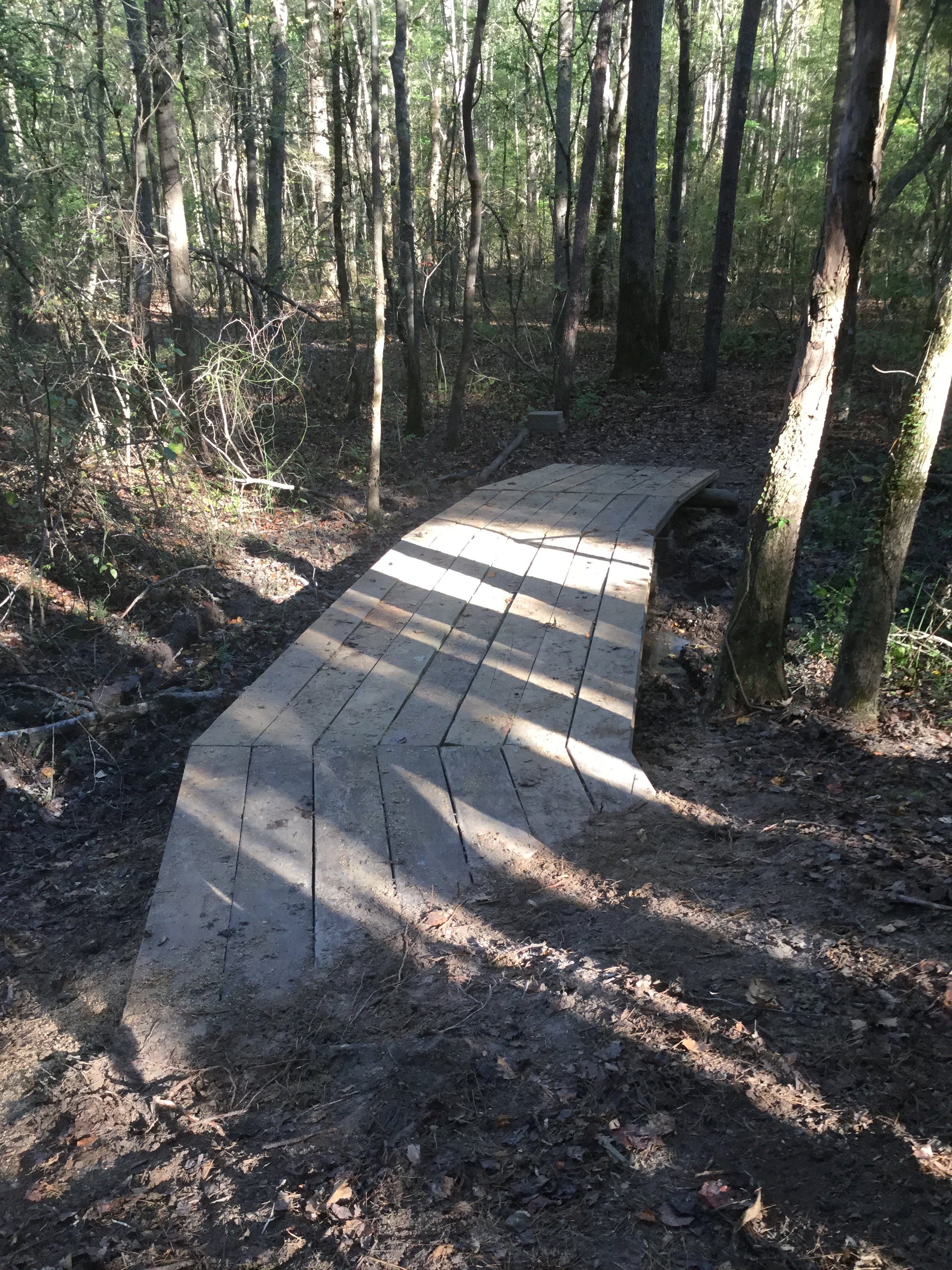 Boardwalk over a wet area on one of the many hiking trails. This is on the Pine Mtn Trail.