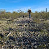 Review photo of BLM Sonoran Desert National Monument - Vekol Road Dispersed Camping Area by Kaye S., January 28, 2024