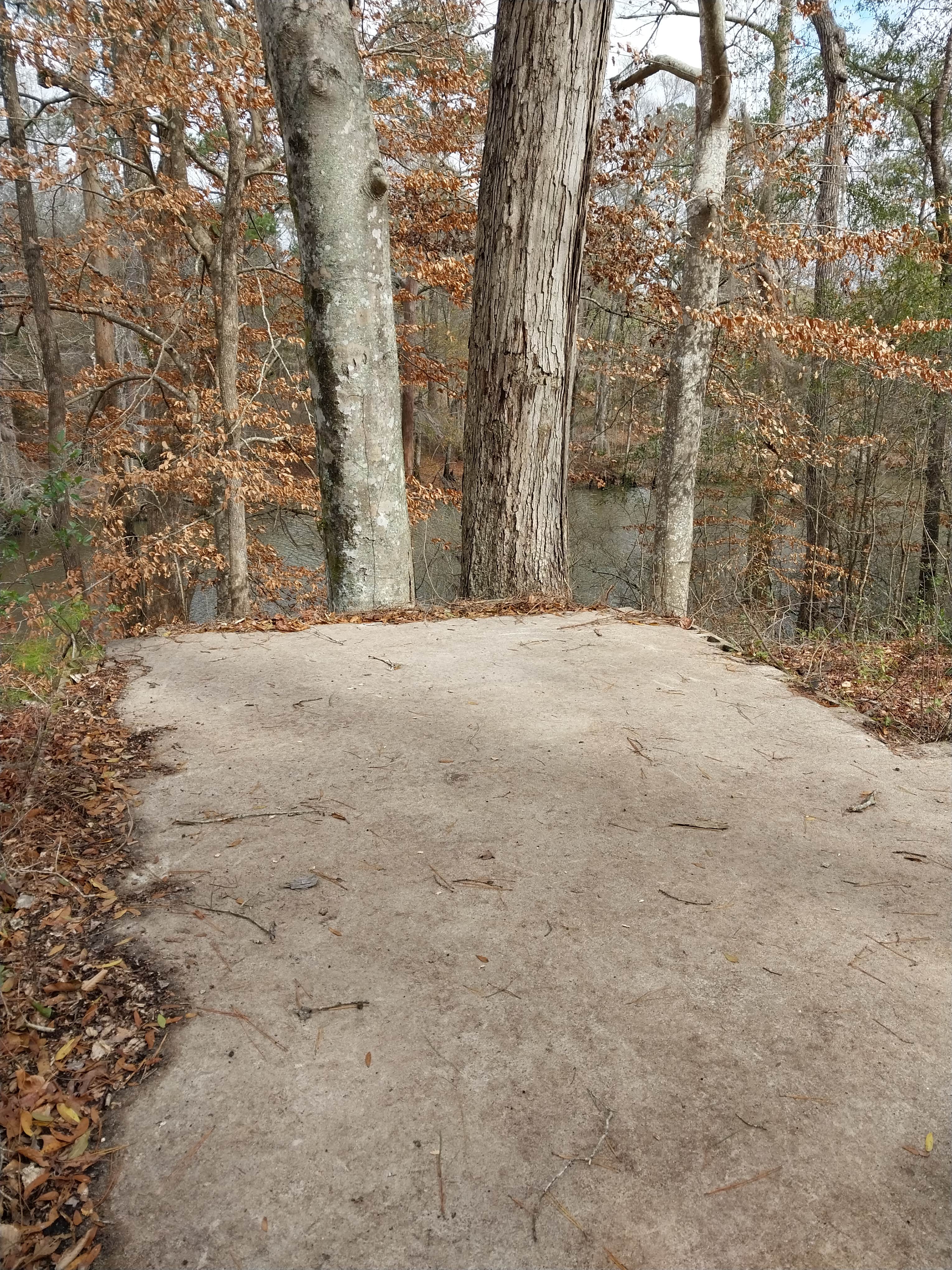 Camper submitted image from Coleman Lake Campground - 2