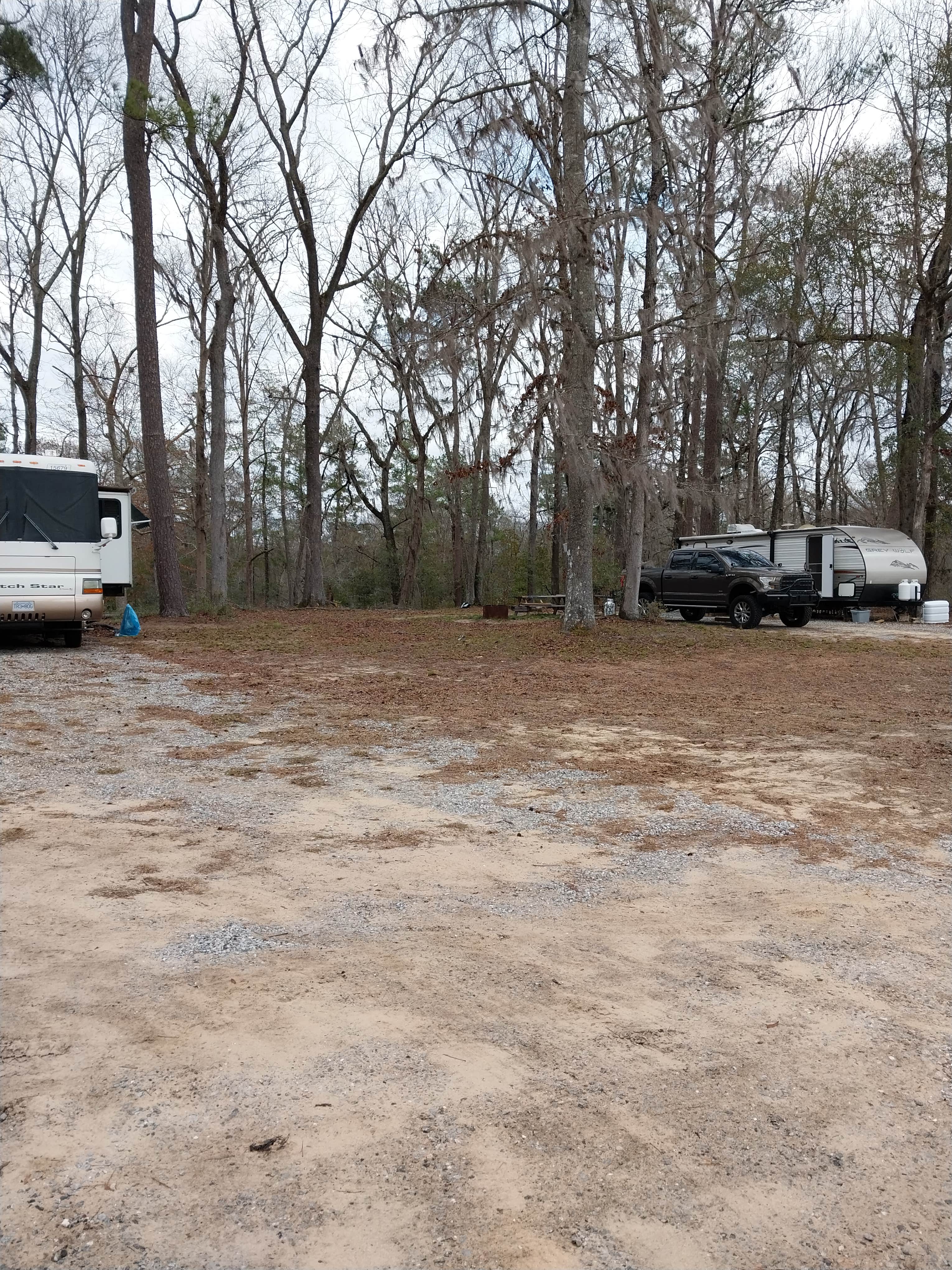 Camper submitted image from Coleman Lake Campground - 4