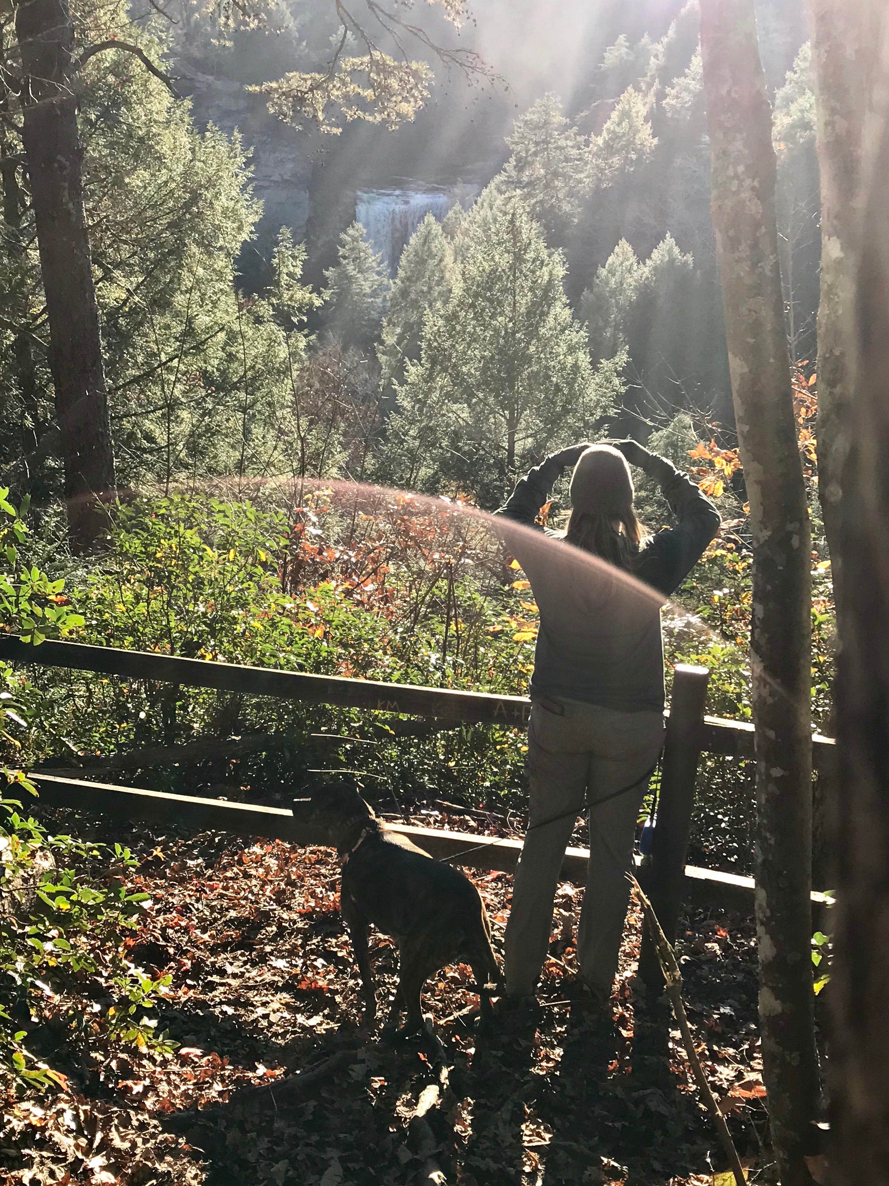 Steve V.'s photo of camping with pets at Fall Creek Falls State Park Campground near Signal Mountain, TN