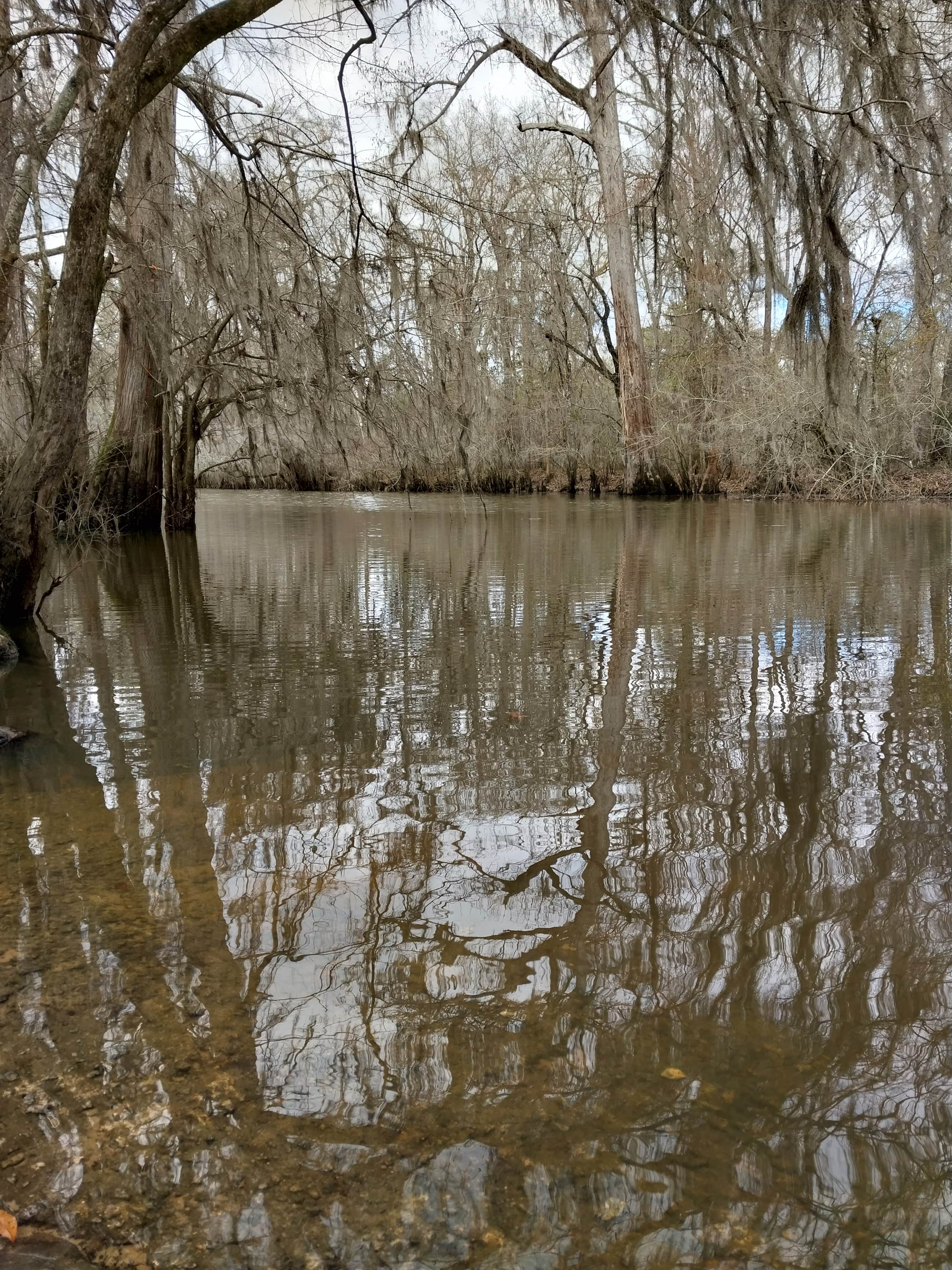 Camper-submitted photo at Coleman Lake Campground near Augusta, GA