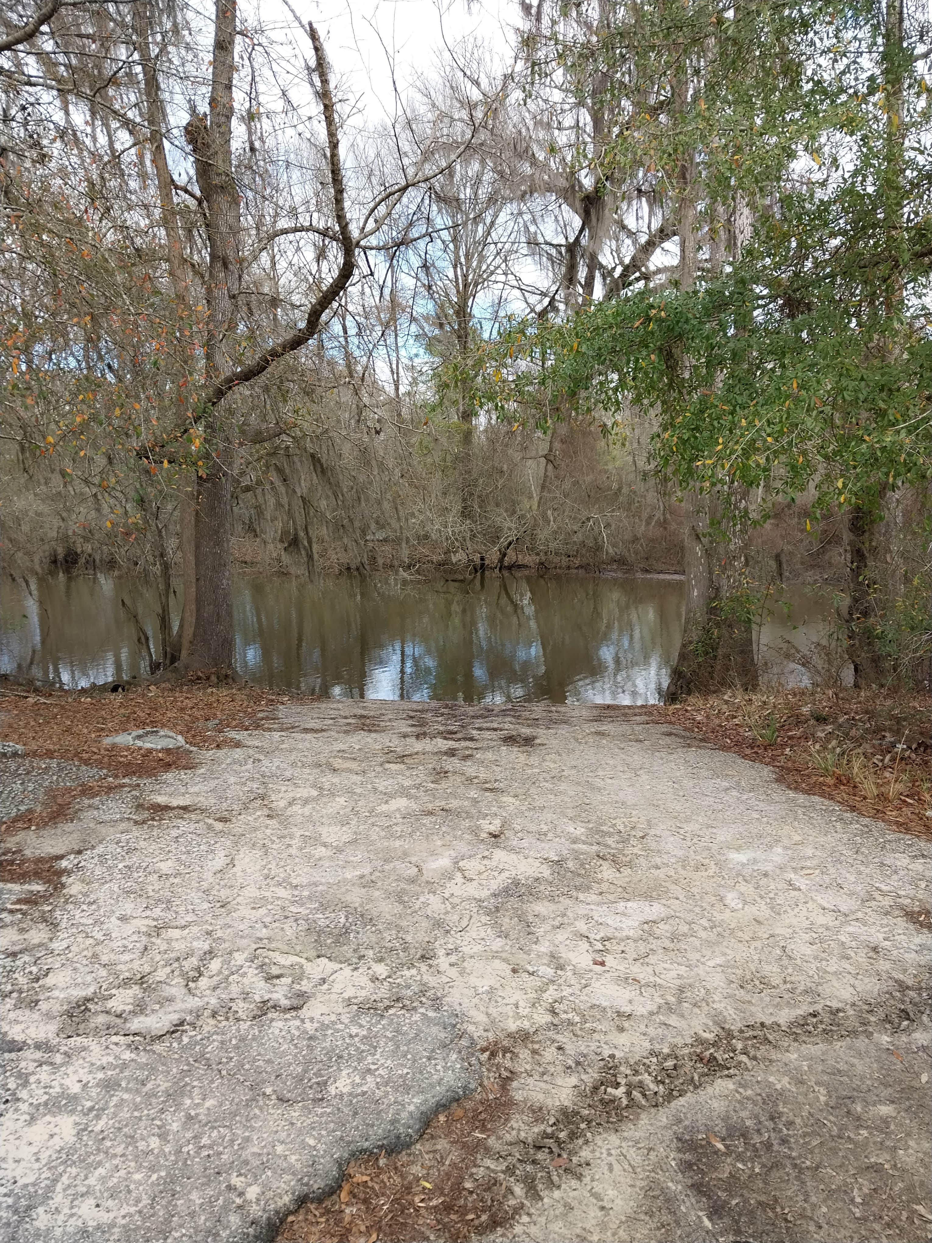 Camper submitted image from Coleman Lake Campground - 2