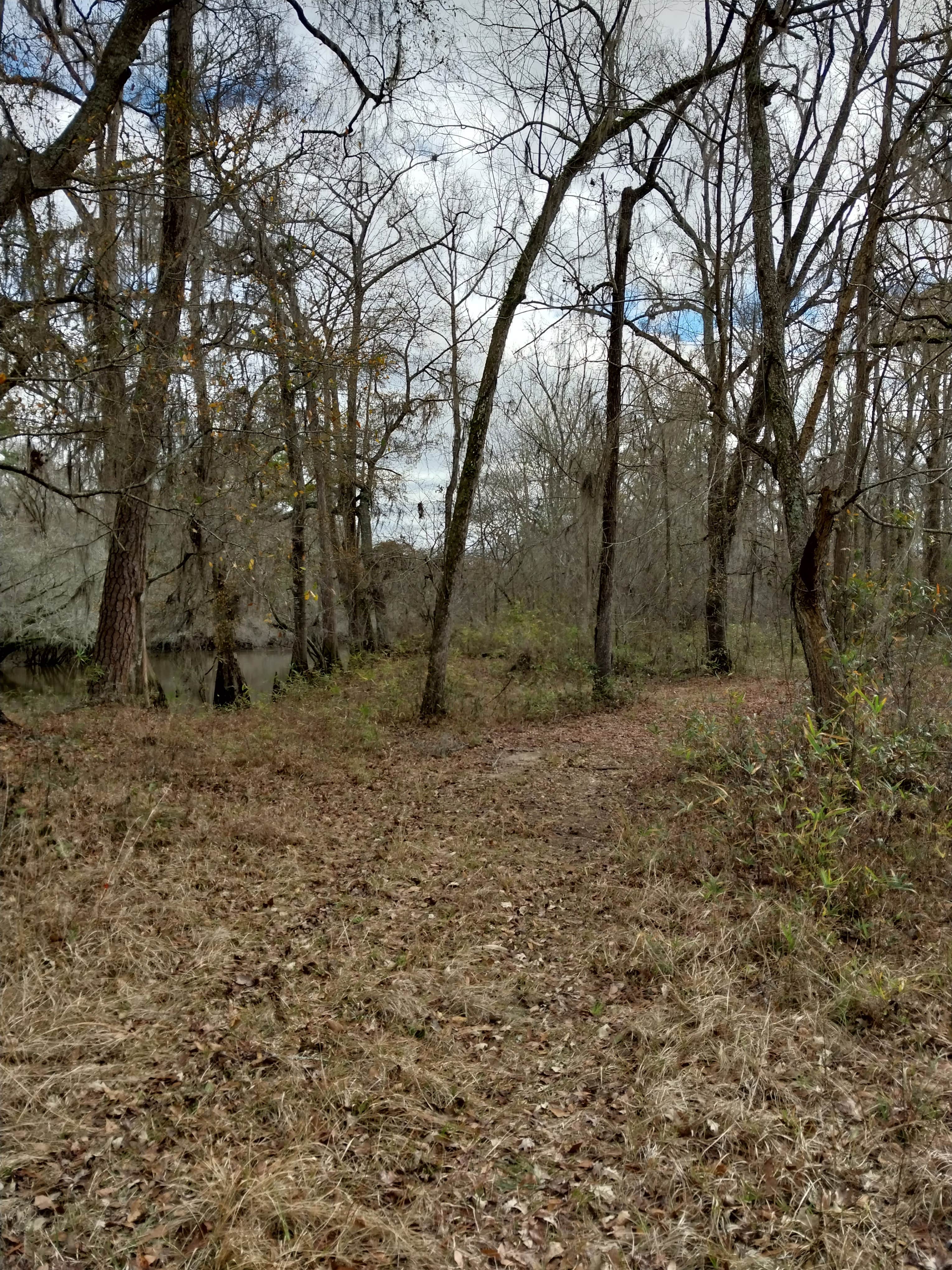 Camper-submitted photo at Coleman Lake Campground near Augusta, GA