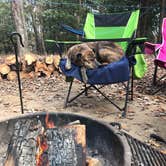 Review photo of Fall Creek Falls State Park Campground by Steve V., November 16, 2018