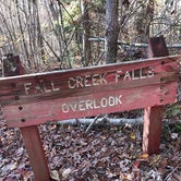 Review photo of Fall Creek Falls State Park Campground by Steve V., November 16, 2018
