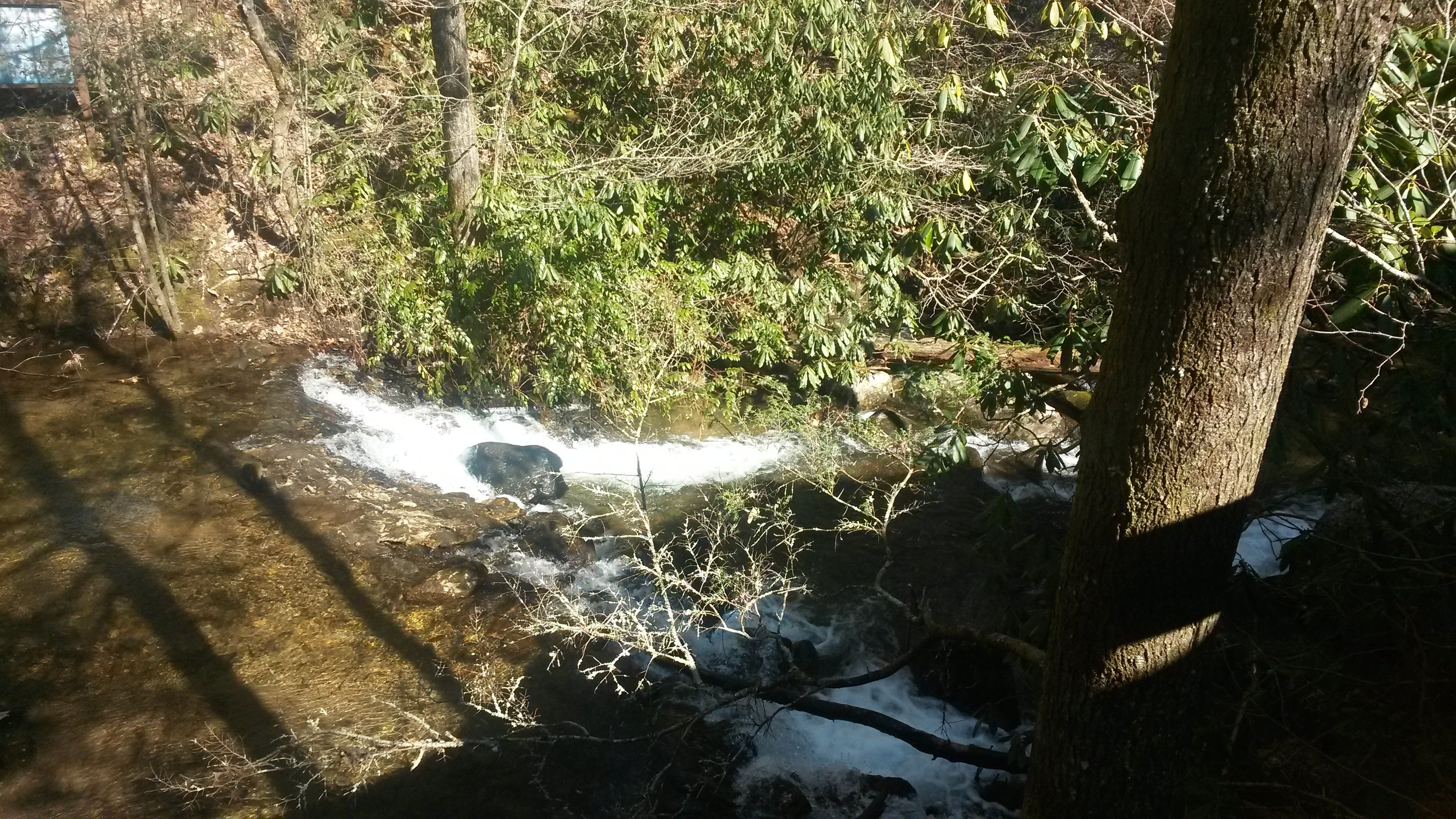 Camper submitted image from Unicoi State Park & Lodge - 3