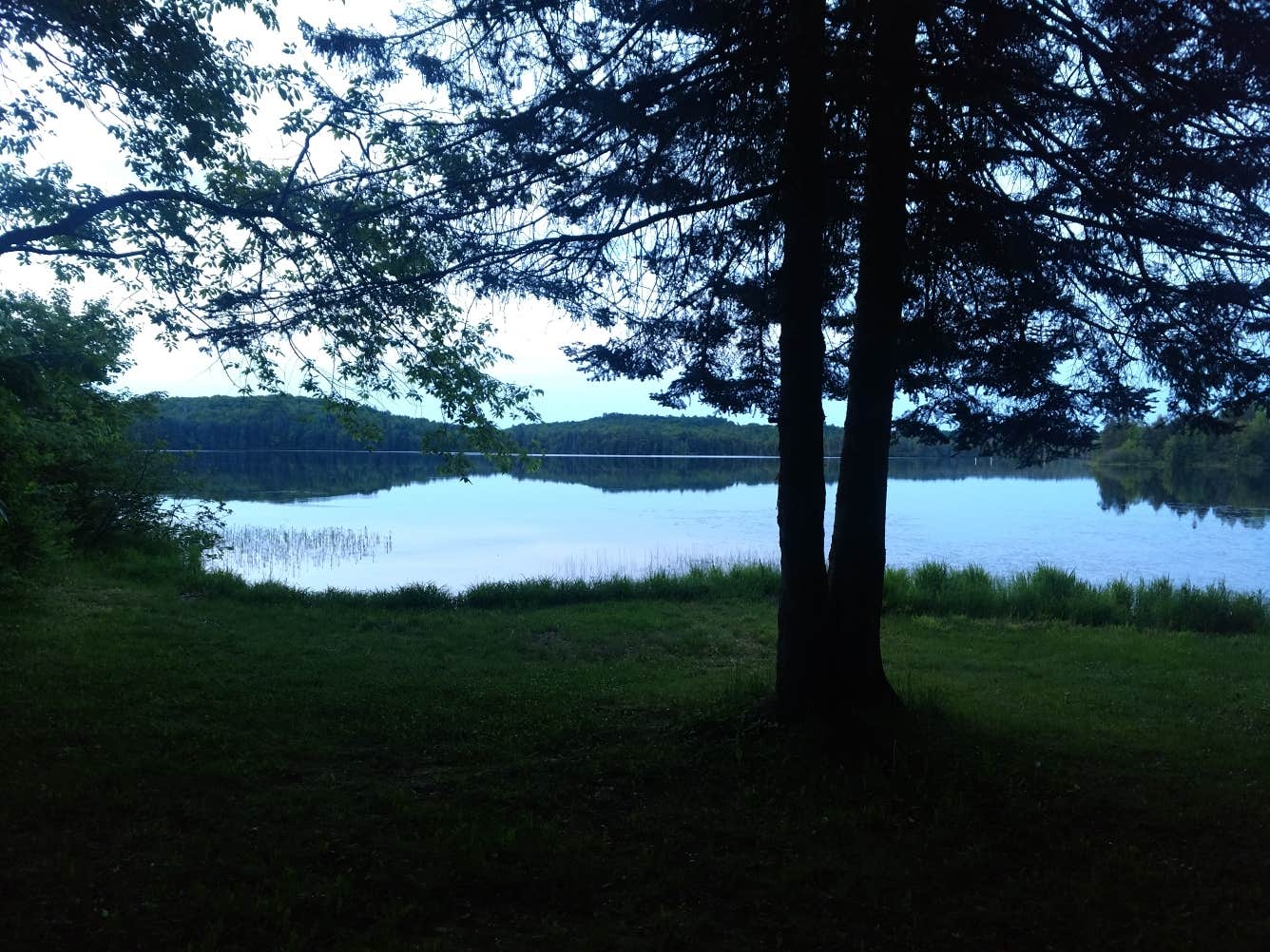 Camper submitted image from Bob Lake Campground - 4