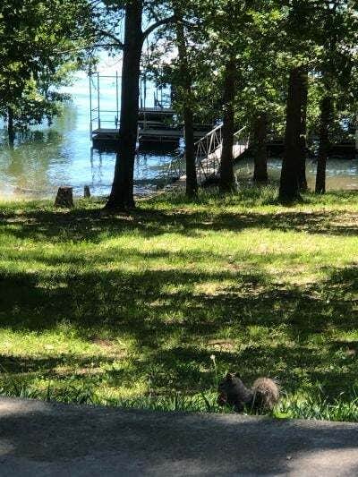 Camper-submitted photo at Bar M Resort &amp; Campground near Rockaway Beach, MO
