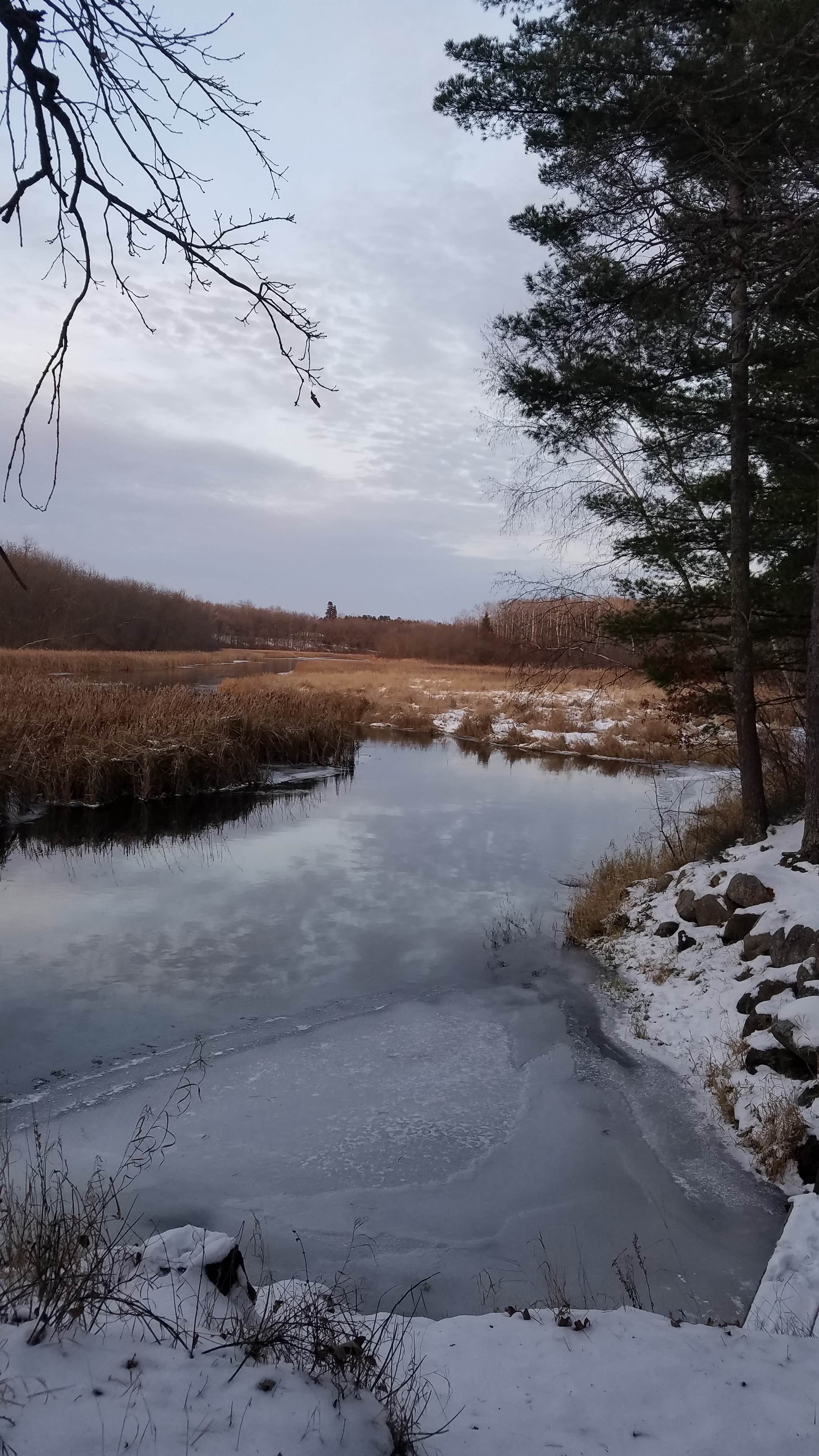Camper-submitted photo at Shell City Landing near Wadena, MN