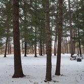 Review photo of Shell City Landing Campground by Amy G., November 16, 2018