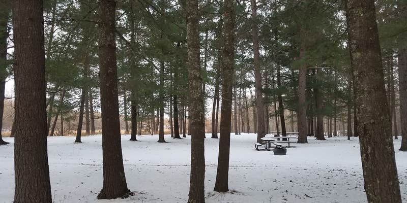 Camper submitted image from Shell City Landing