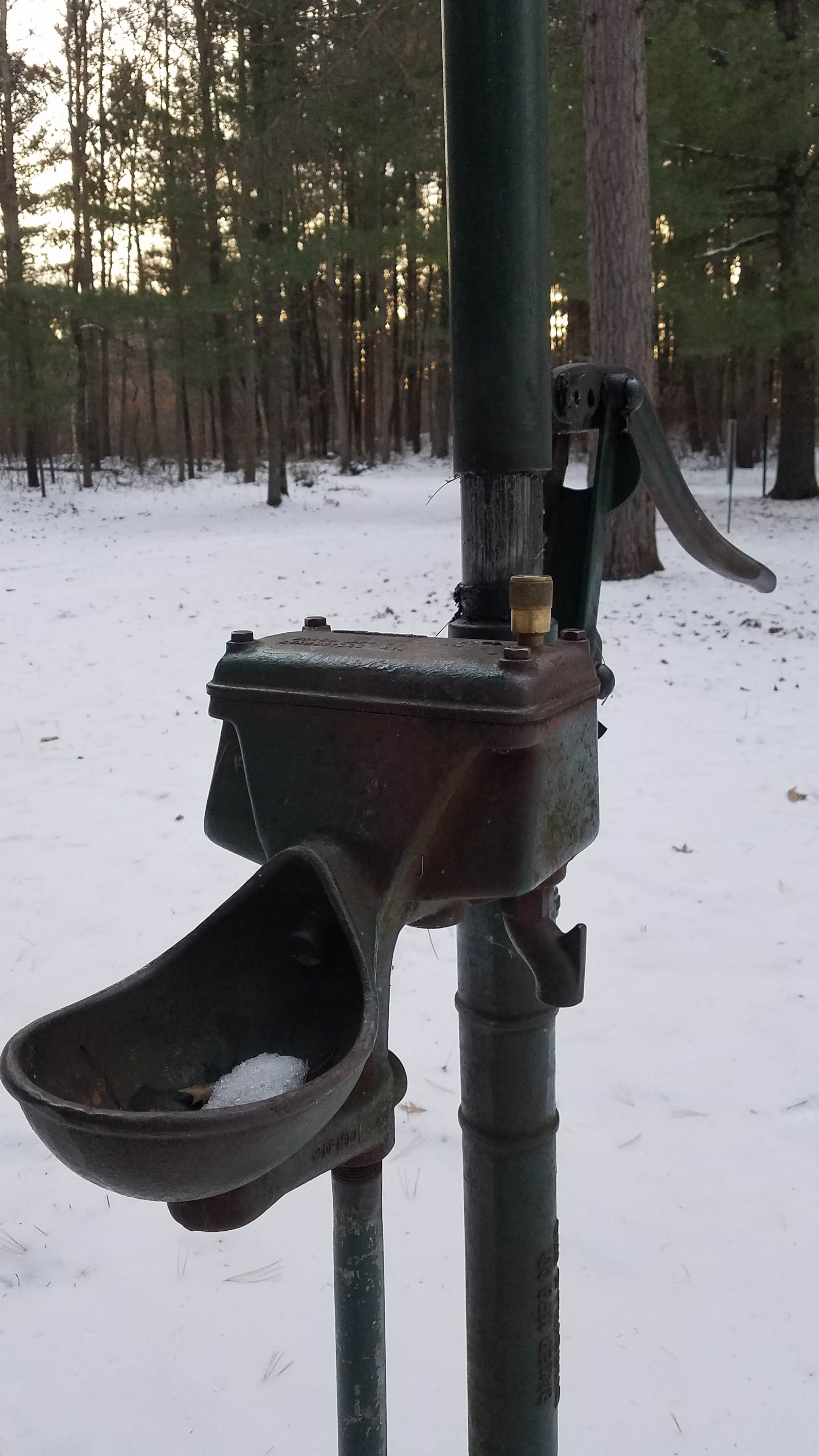 Camper submitted image from Shell City Landing - 4