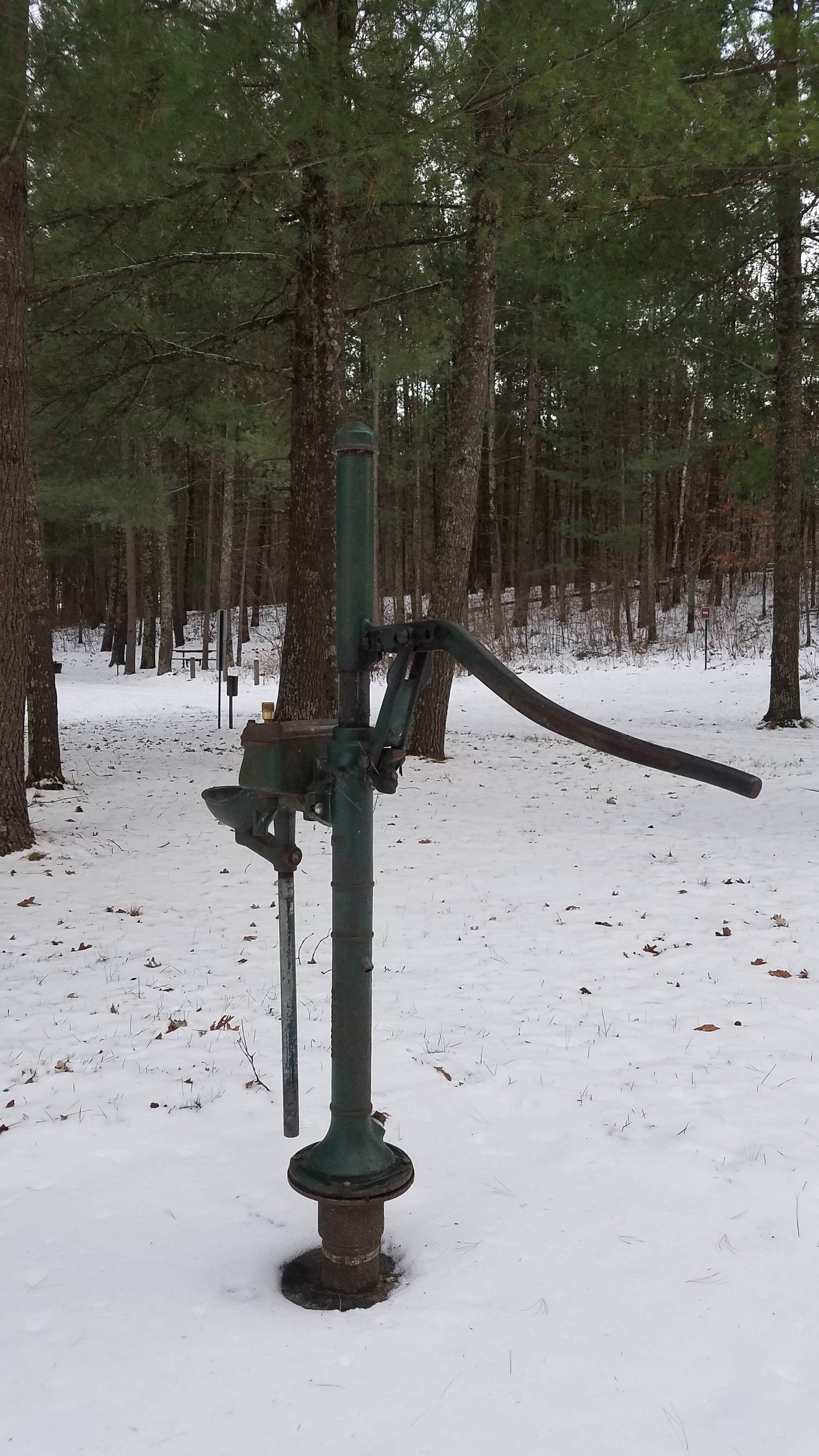 Camper-submitted photo at Shell City Landing near Wadena, MN