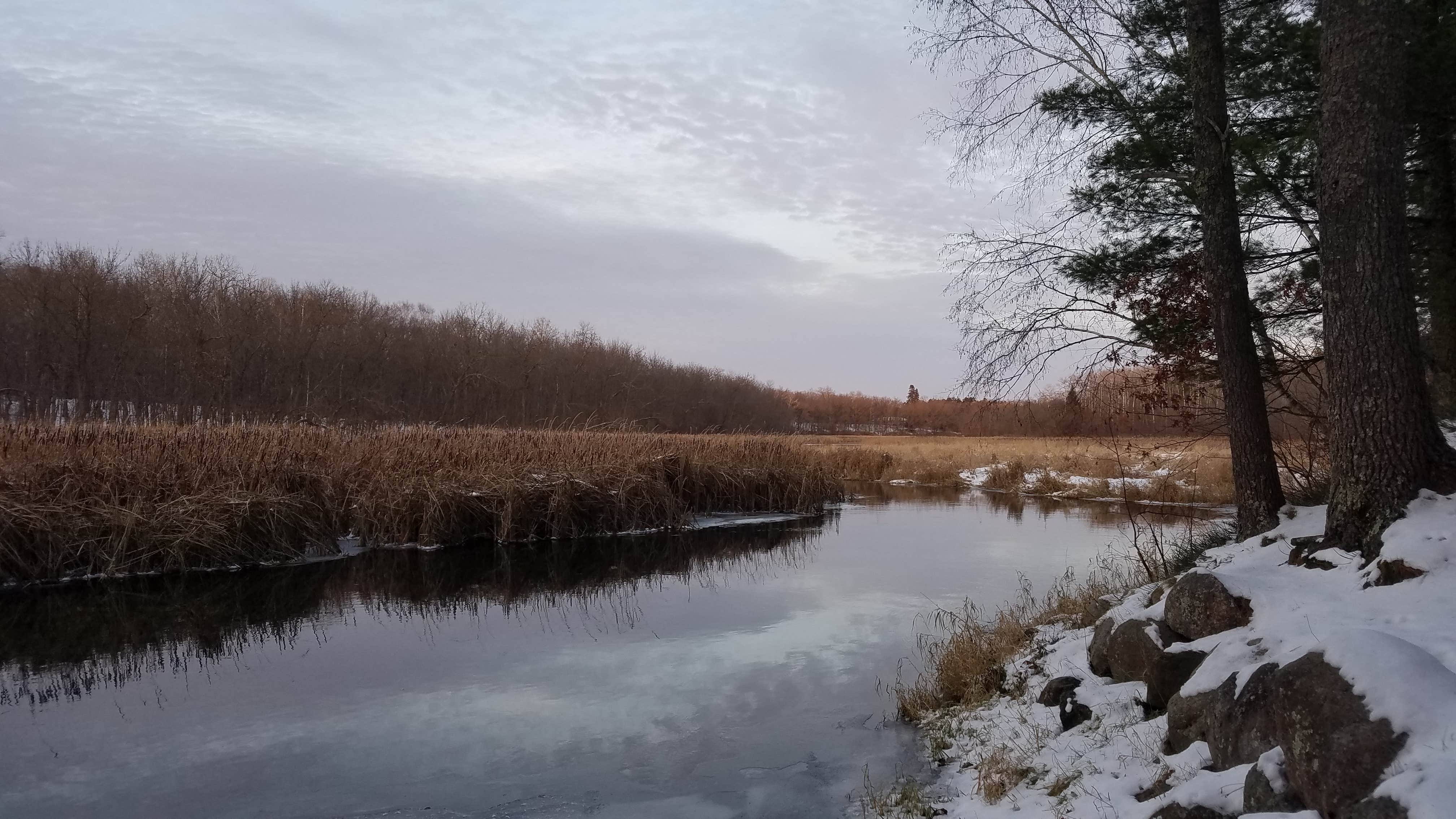 Camper-submitted photo at Shell City Landing near Wadena, MN