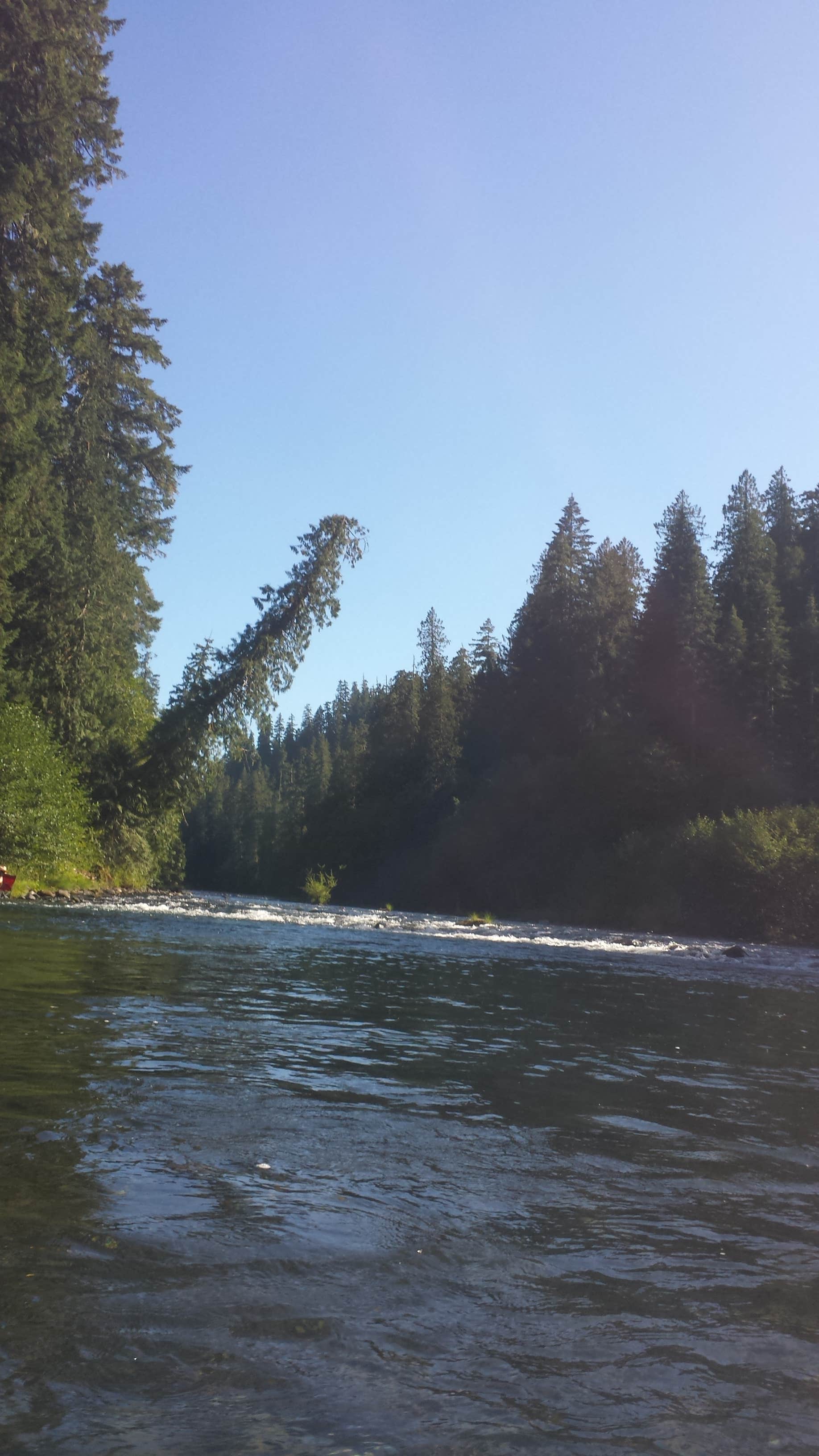 Camper submitted image from Ripplebrook Campground CLOSED INDEFINITELY DUE TO FIRE - 3