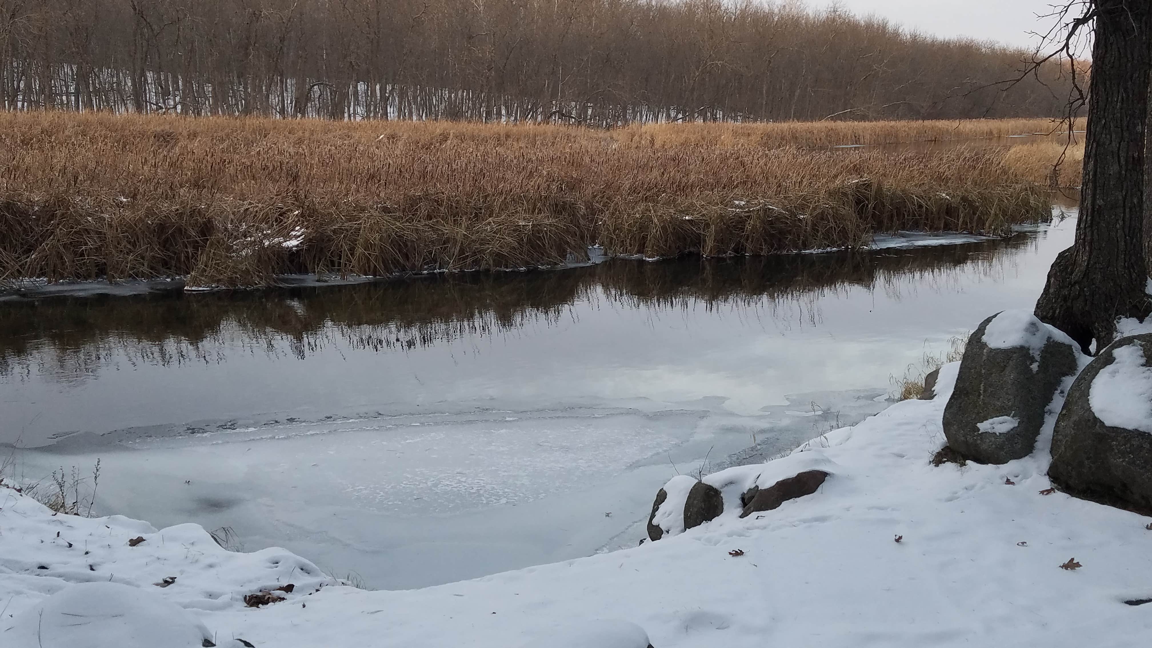 Camper-submitted photo at Shell City Landing near Wadena, MN