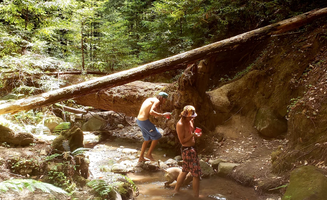 Aidan P.'s photo of camping with pets at Van Life Campgrounds @ Enchanted Forest near Santa Cruz, CA