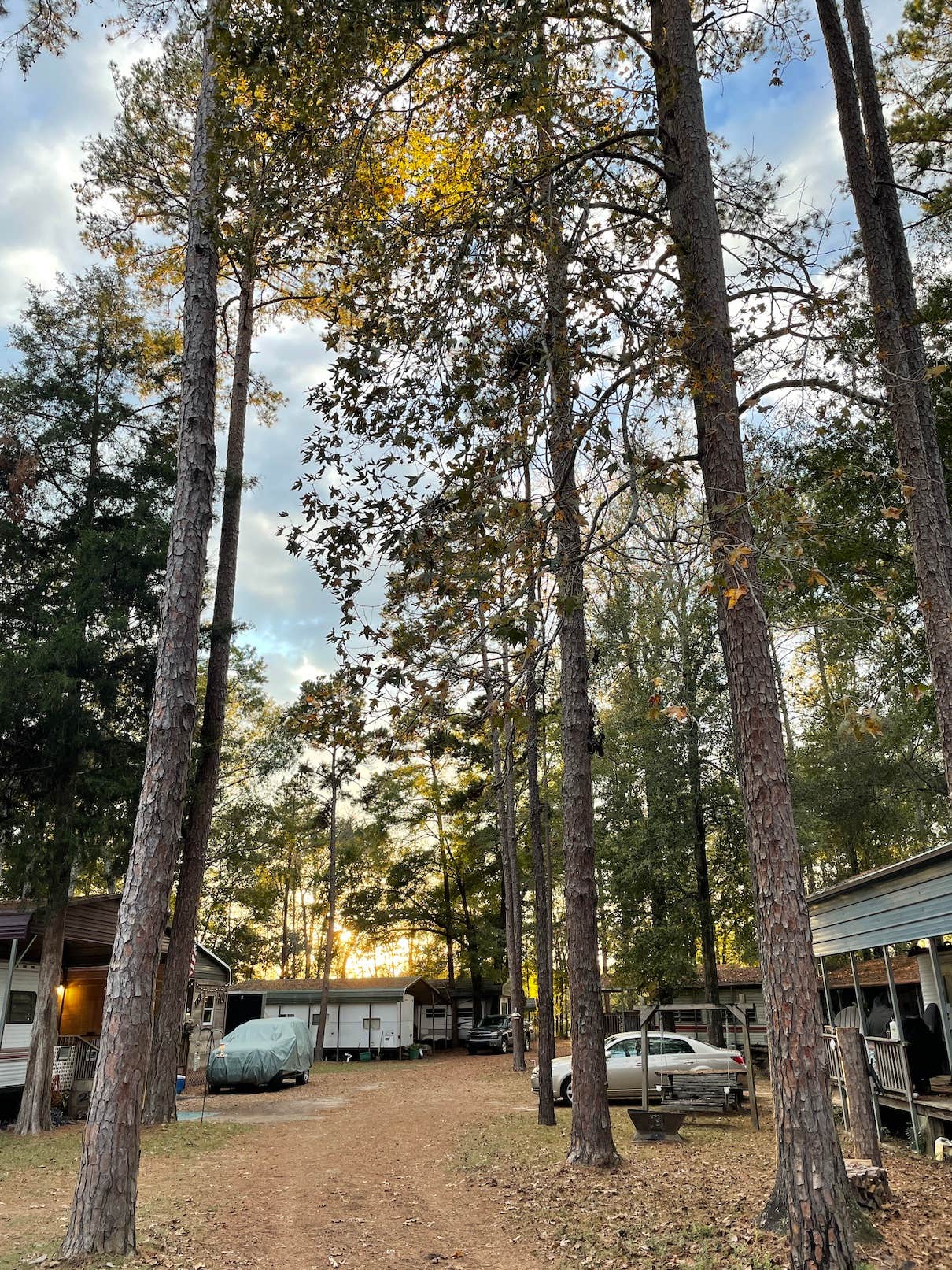 Camper-submitted photo at Pataula Creek RV near Walter F. George Lake