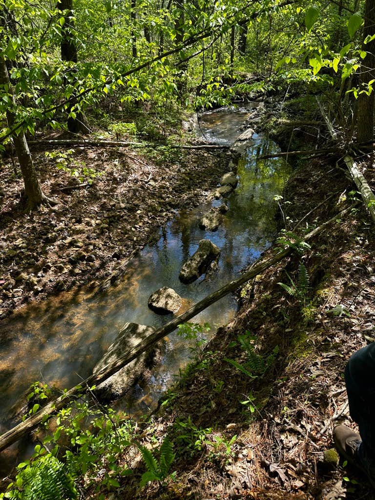Camper-submitted photo at Angelides Ranch near Mount Berry, GA