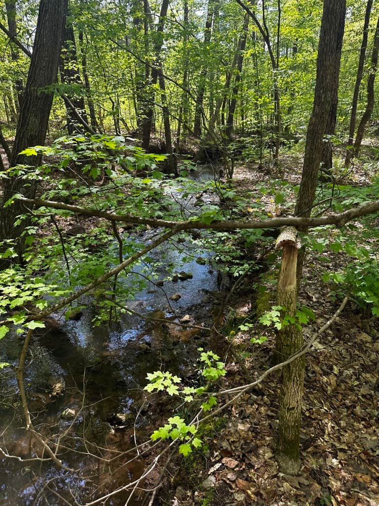 Camper-submitted photo at Angelides Ranch near Mount Berry, GA