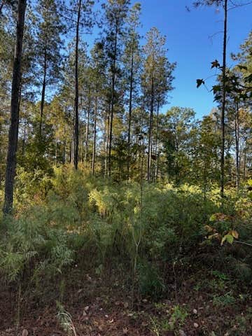 Camper-submitted photo at Angelides Ranch near Mount Berry, GA