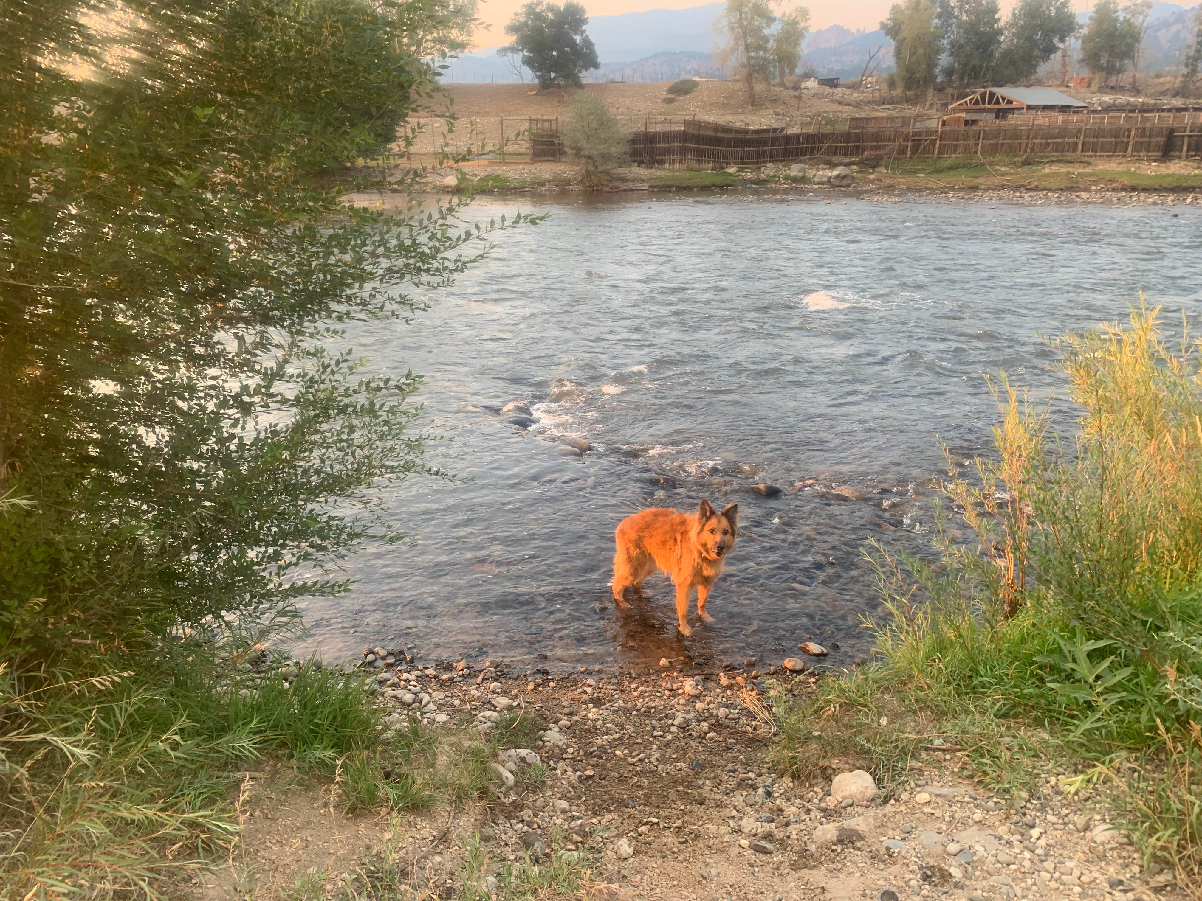 Camping near Bighorn Park: Rocky Top River Ranch, Howard, Colorado