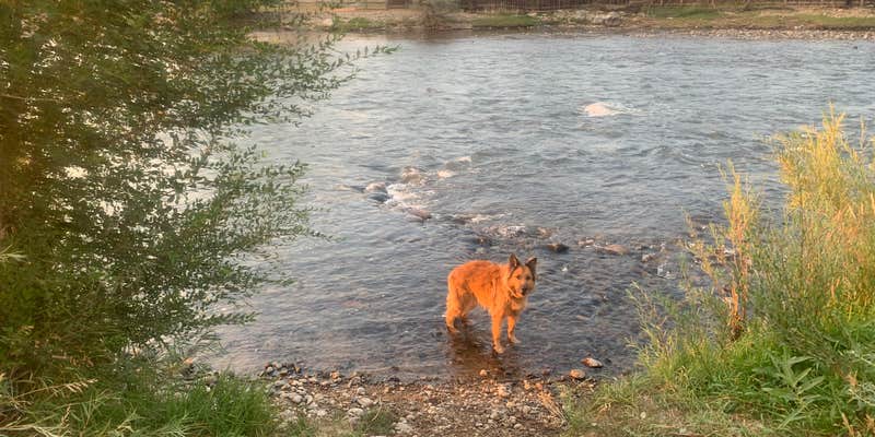 Camper submitted image from Rocky Top River Ranch