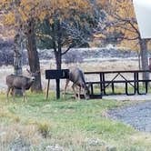 Review photo of Pa-Co-Chu-Puk Campground — Ridgway State Park by Heather P., November 17, 2018