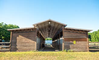 John M.'s photo of camping with a horse at Fair Harbor RV Park in Georgia