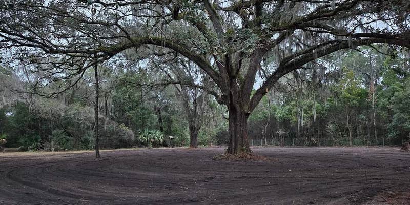 Camper submitted image from Bonfires Welcome