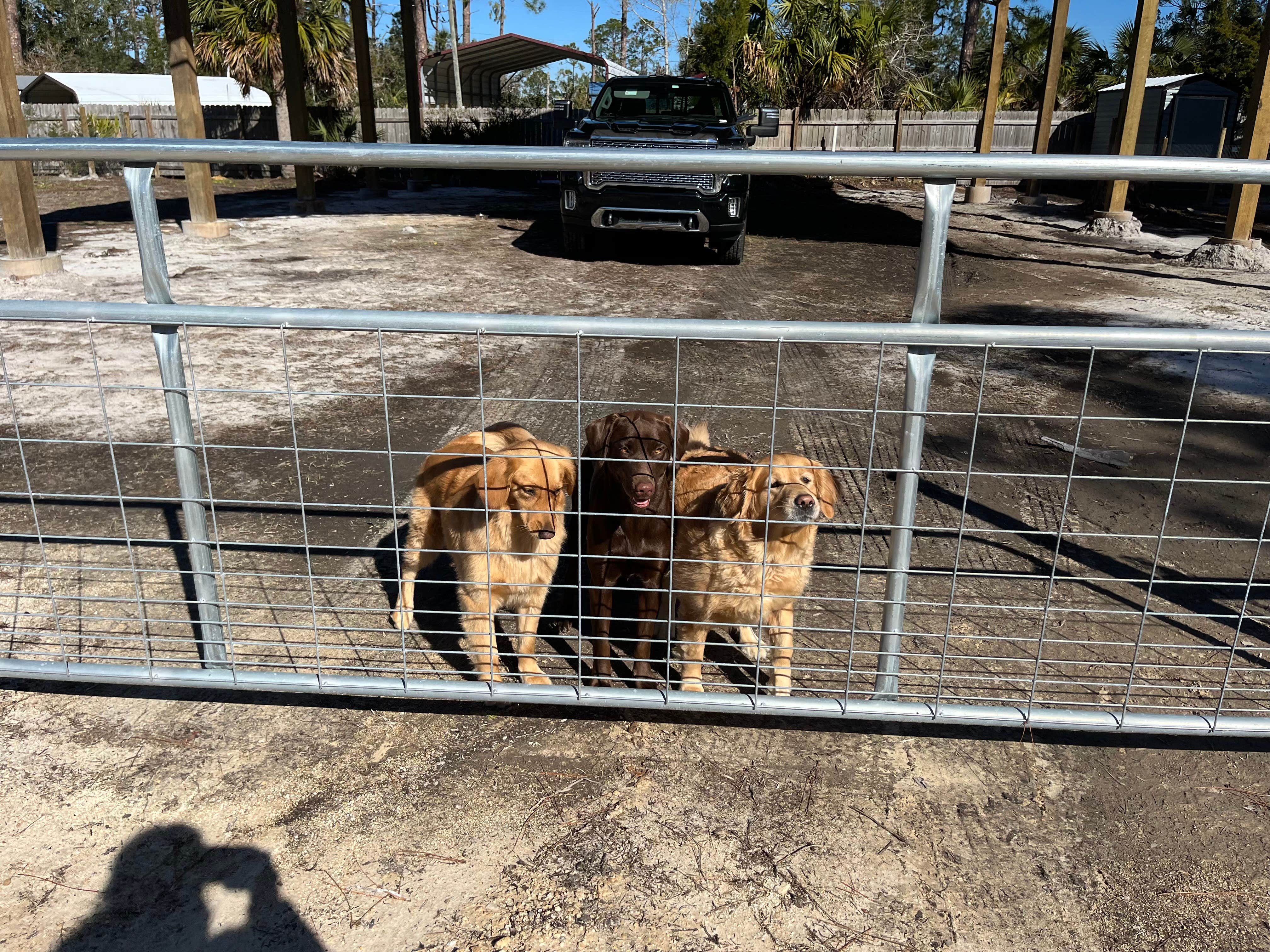 Camper-submitted photo at Now What Gulf Site near Steinhatchee, FL