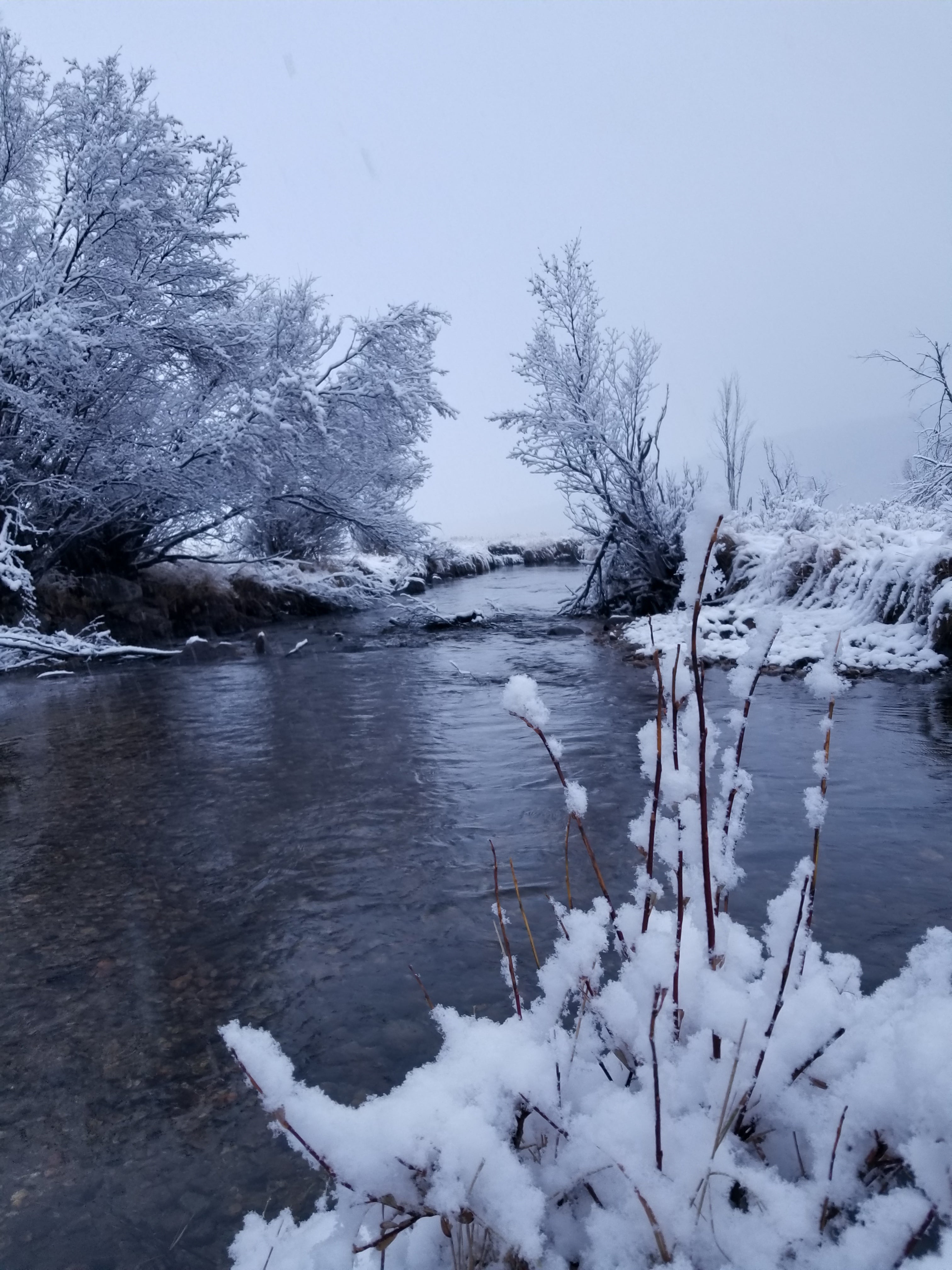 Snow along the river