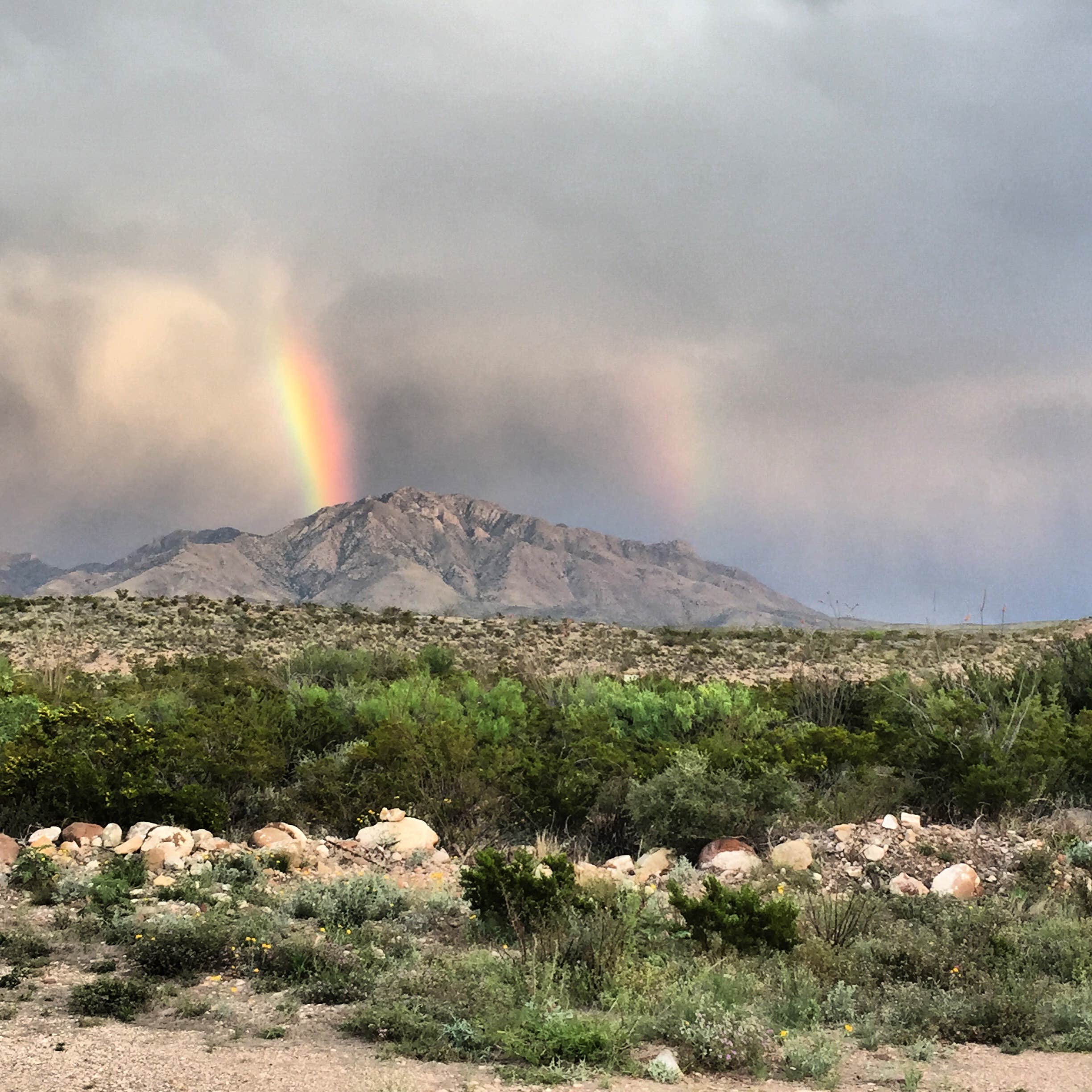 Camping near Rancho del Mapache: Chinati Mountain View, Presidio, Texas