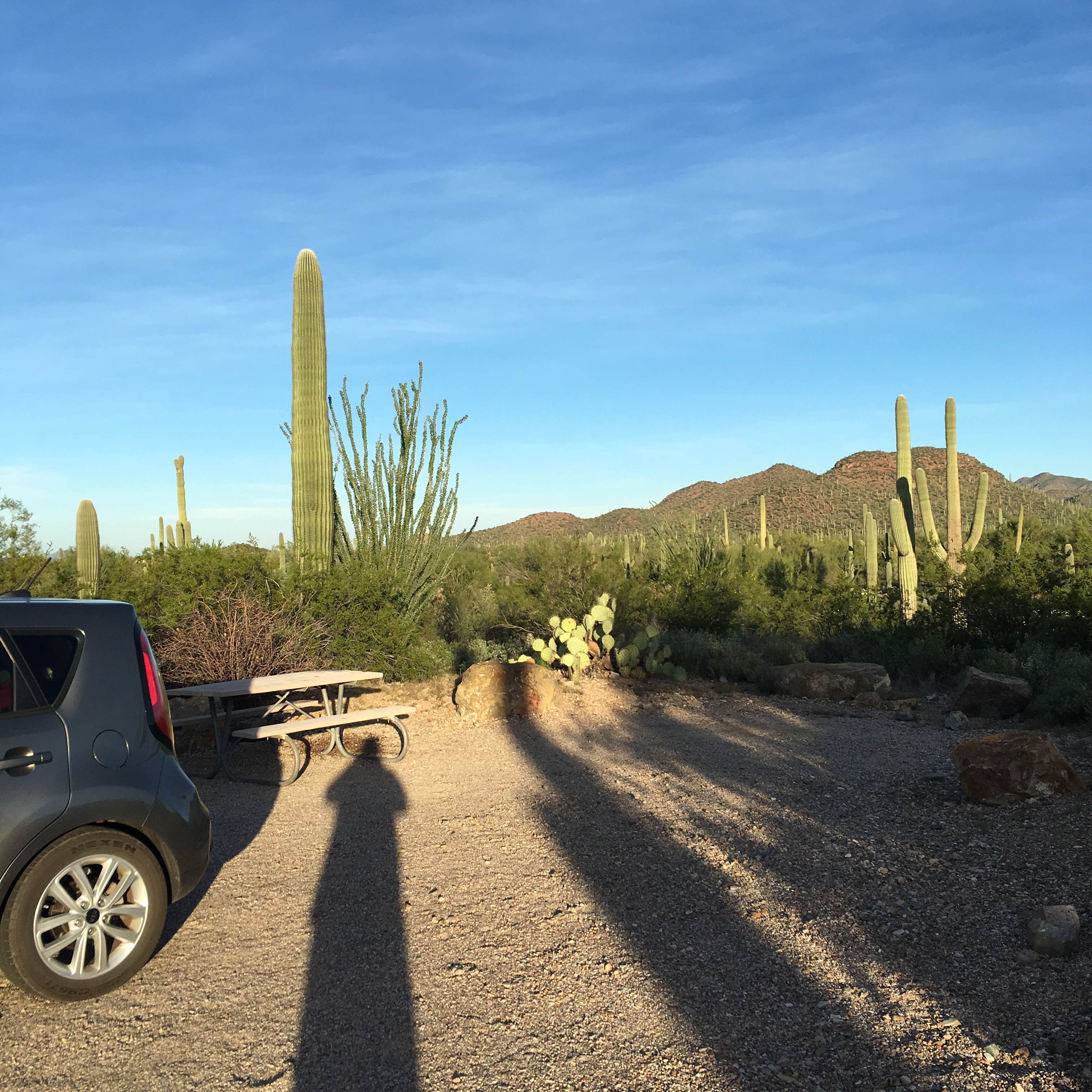 Escape to Nature's Embrace: Your Guide to Gilbert Ray Campground