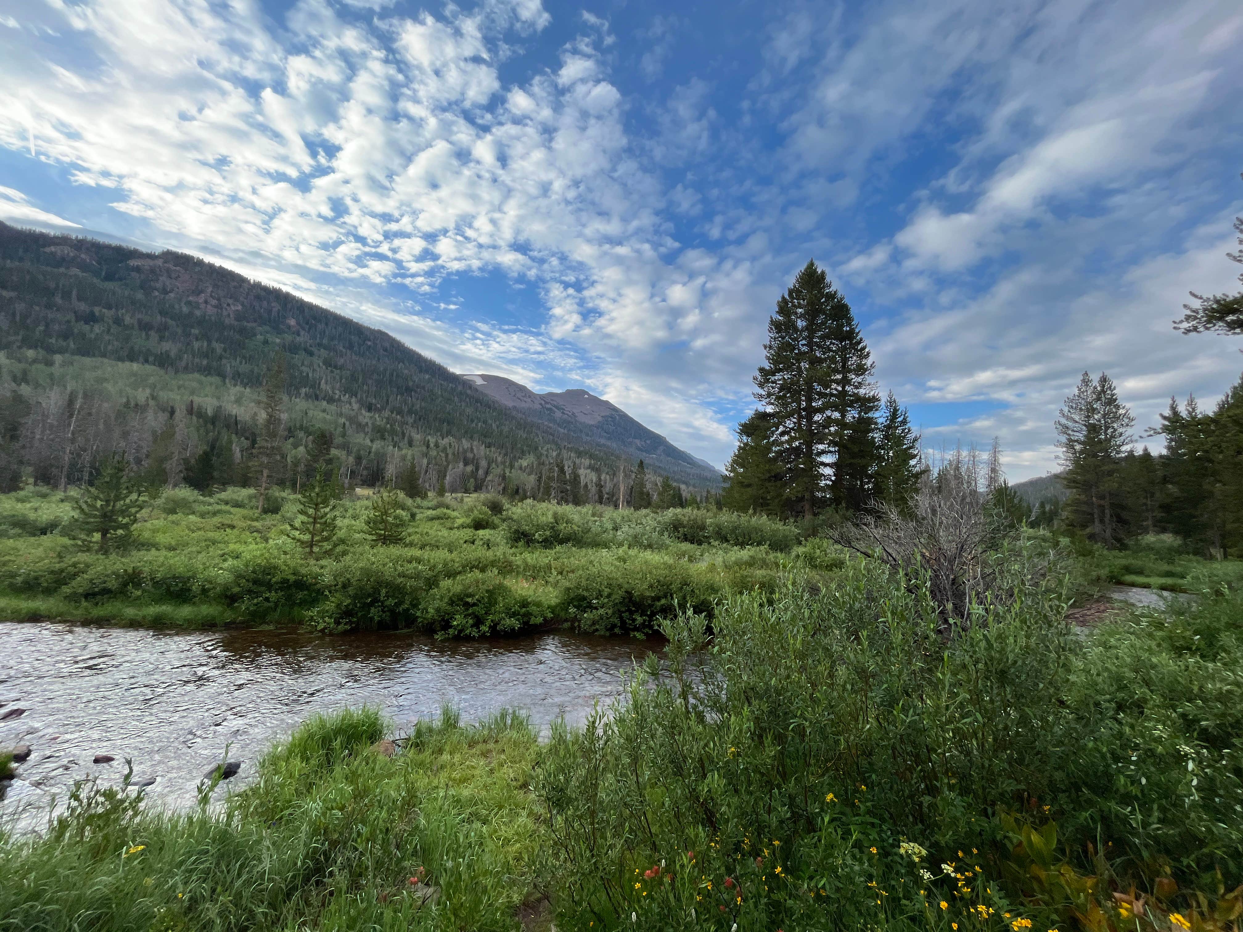 Camper submitted image from Sulphur Campground - 3