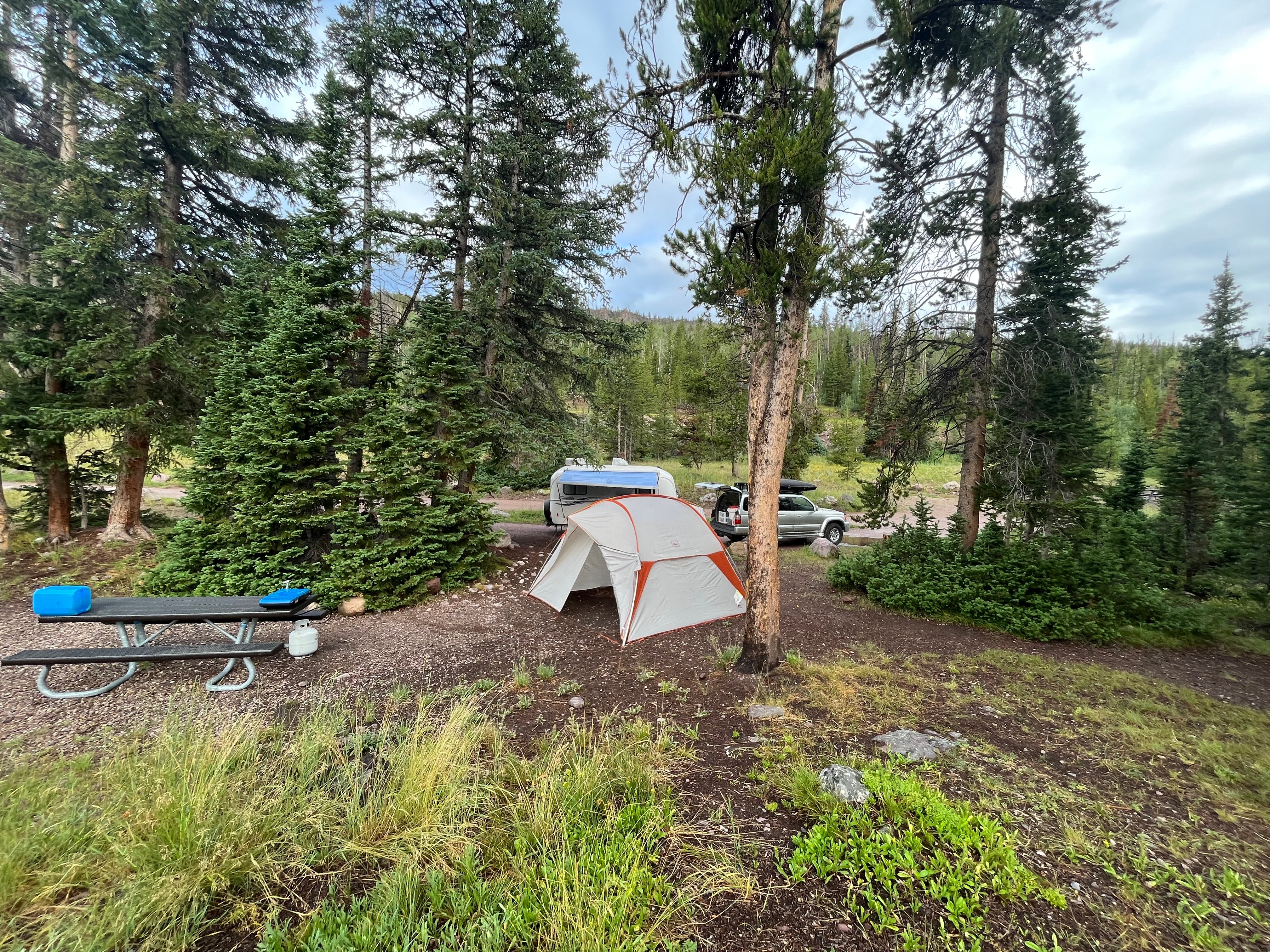 Camper submitted image from Sulphur Campground - 5