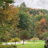 Review photo of Winhall Brook Camping Area - TEMPORARILY CLOSED by Melissa L., November 18, 2018