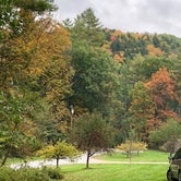 Review photo of Winhall Brook Camping Area by Melissa L., November 18, 2018