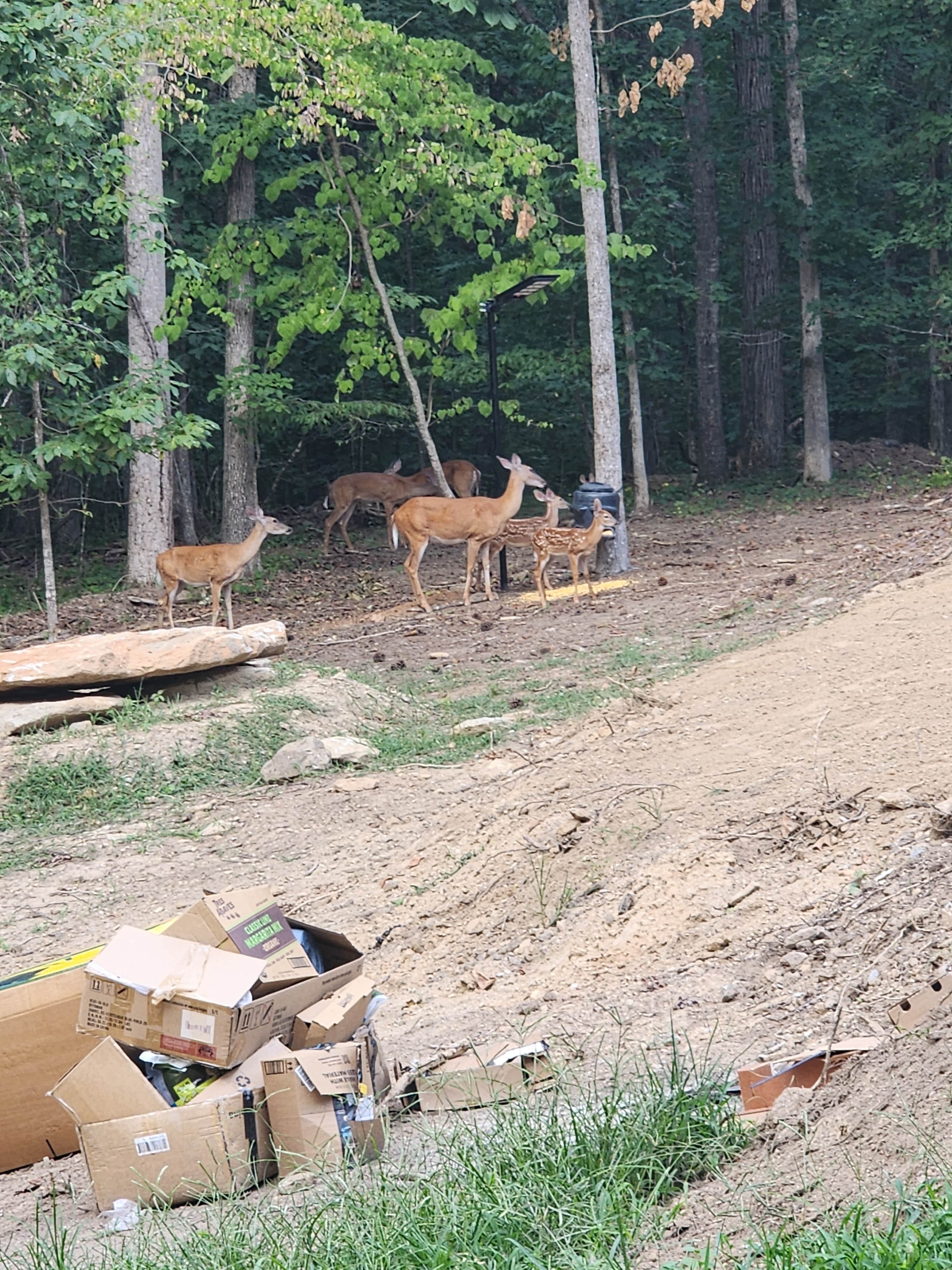 Camper-submitted photo at ATL OASIS Campground and RV Parking near Fairburn, GA