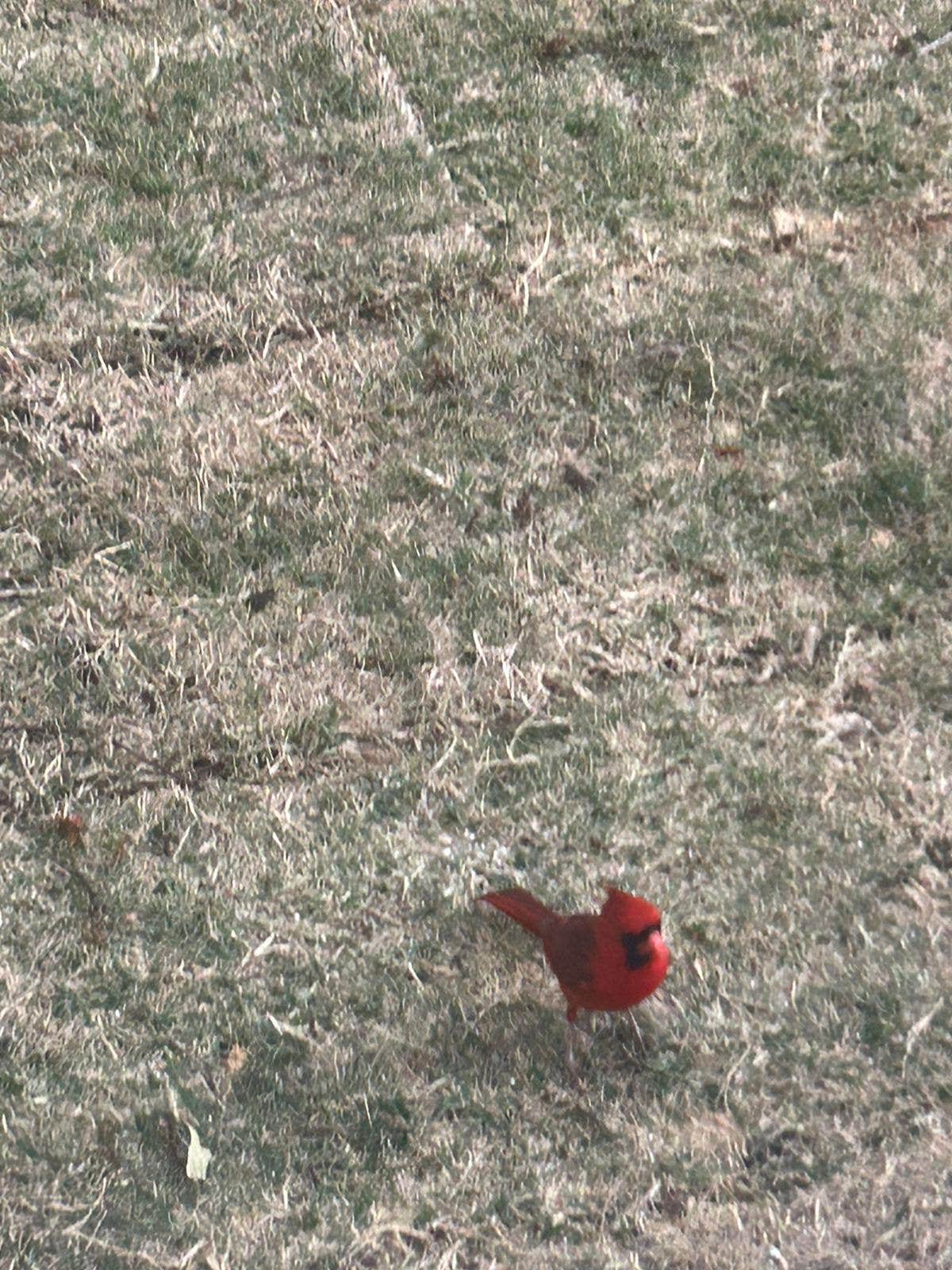 Camper-submitted photo at ATL OASIS Campground and RV Parking near Fairburn, GA