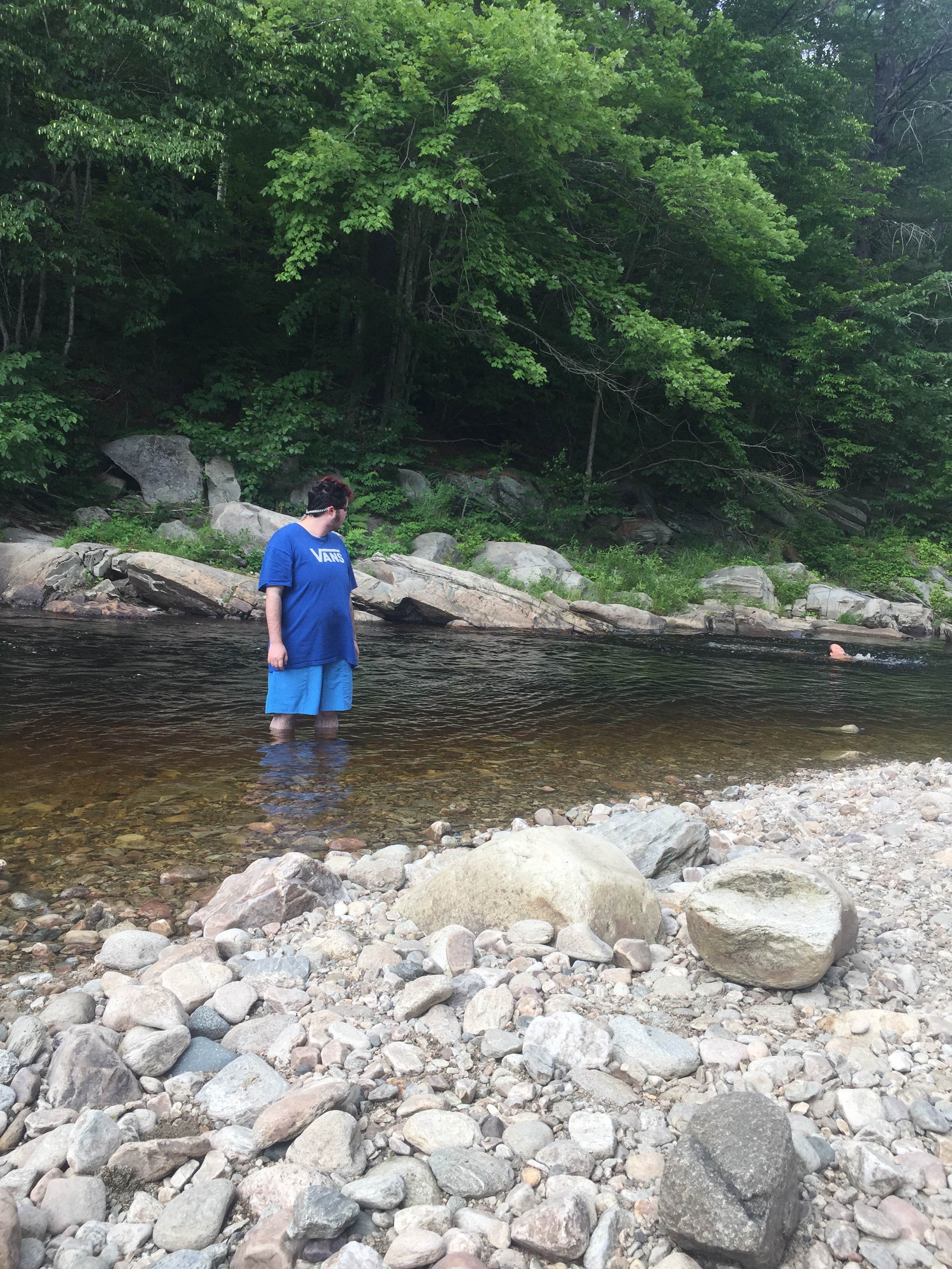 Camper submitted image from Winhall Brook Camping Area - TEMPORARILY CLOSED - 3