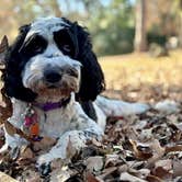 Review photo of Tyler State Park Campground by Donna H., February 4, 2024