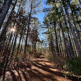 Review photo of Tyler State Park Campground by Donna H., February 4, 2024