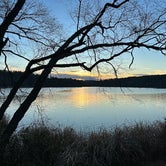 Review photo of Tyler State Park Campground by Donna H., February 4, 2024