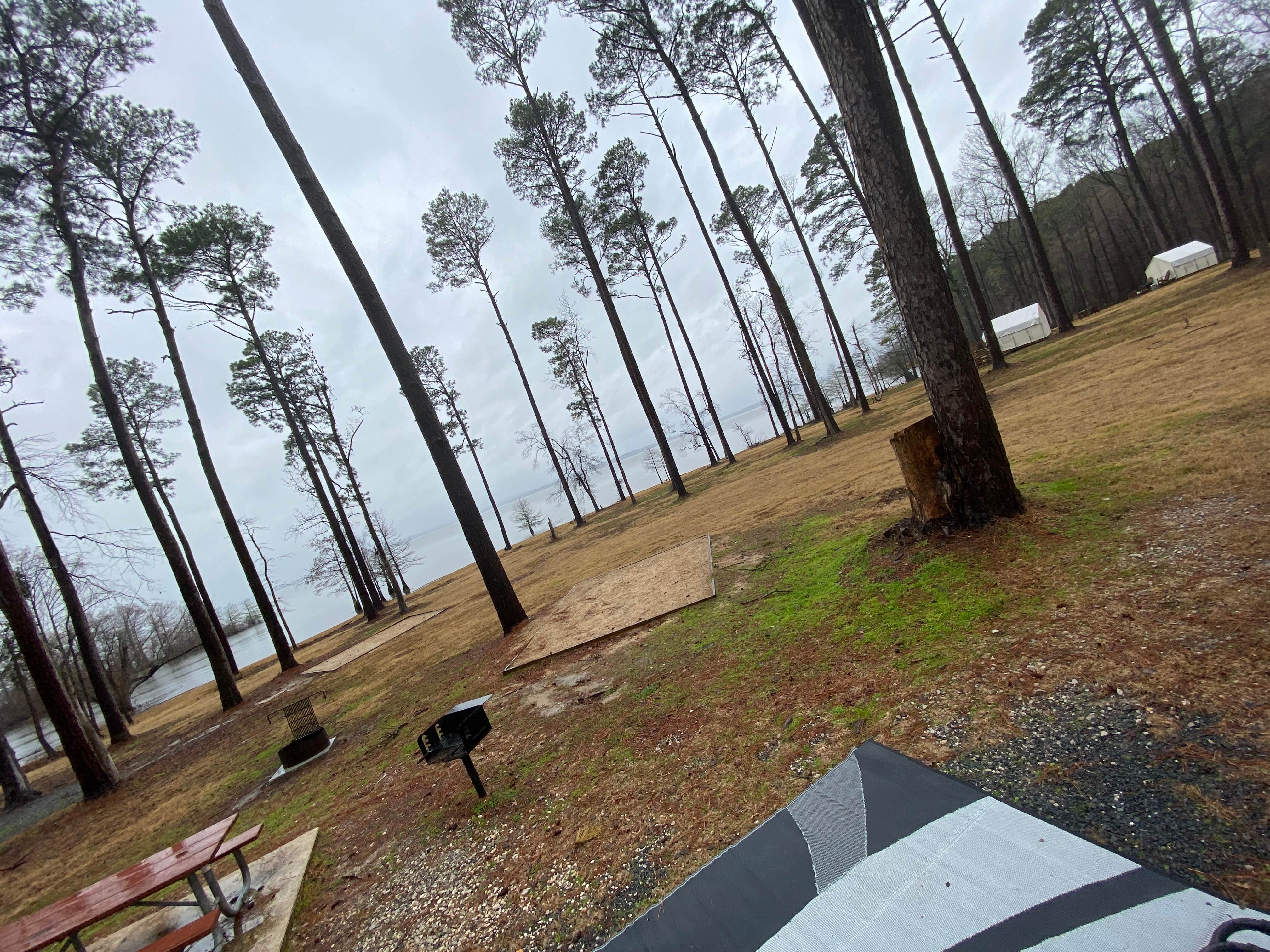 Camper-submitted photo at North Toledo Bend State Park Campground near Natchitoches, LA