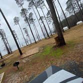 Review photo of North Toledo Bend State Park Campground by Gladys A., February 4, 2024